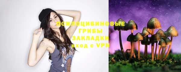 молекула духа Алексеевка