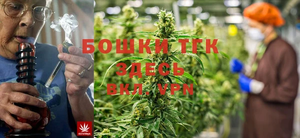 молекула духа Алексеевка